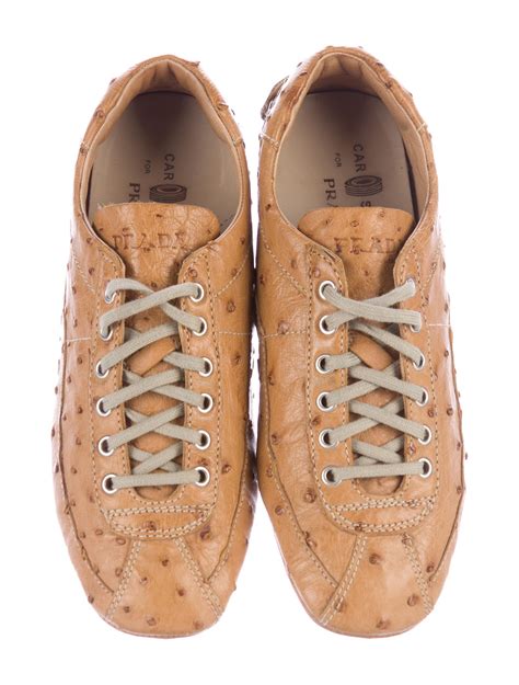 prada car shoes